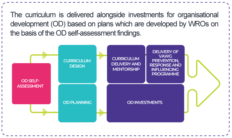 Graphic of curriculum