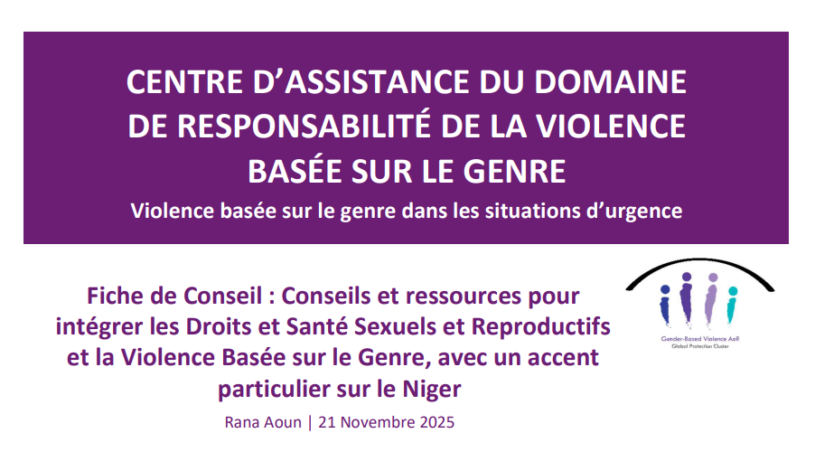 Fiche de Conseil : Conseils et ressources pour intégrer les Droits et Santé Sexuels et Reproductifs et la Violence Basée sur le Genre, avec un accent particulier sur le Niger