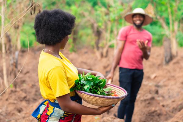 photo of two people on a vegetable farm