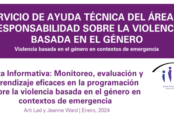 Nota Informativa: Monitoreo, evaluación y aprendizaje eficaces en la programación sobre la violencia basada en el género en contextos de emergencia