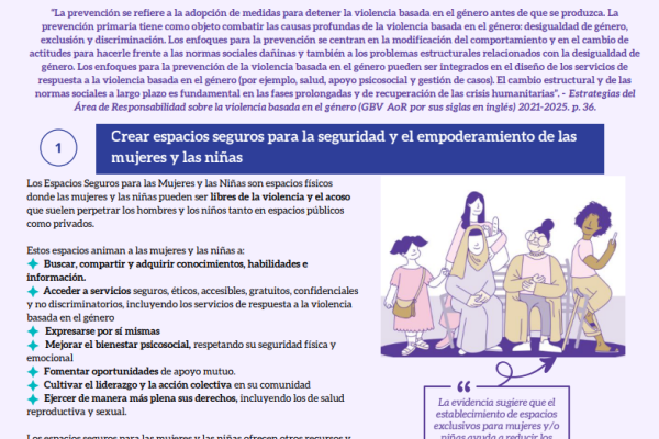 Cómo prevenir la violencia basada en el género en situaciones de emergencia