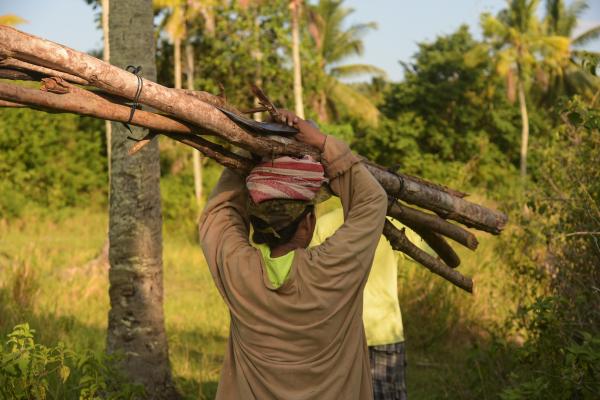 walking farmer carrying bundle wooden sticks