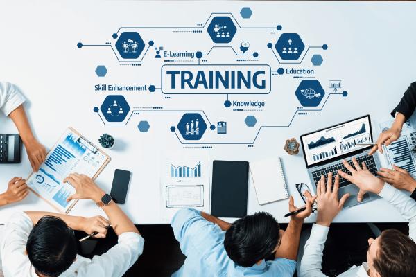 A diverse group of professionals engage in a collaborative training session