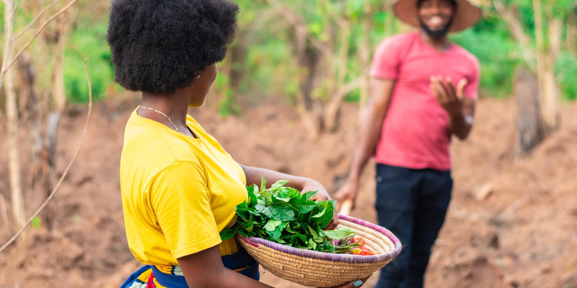 photo of two people on a vegetable farm