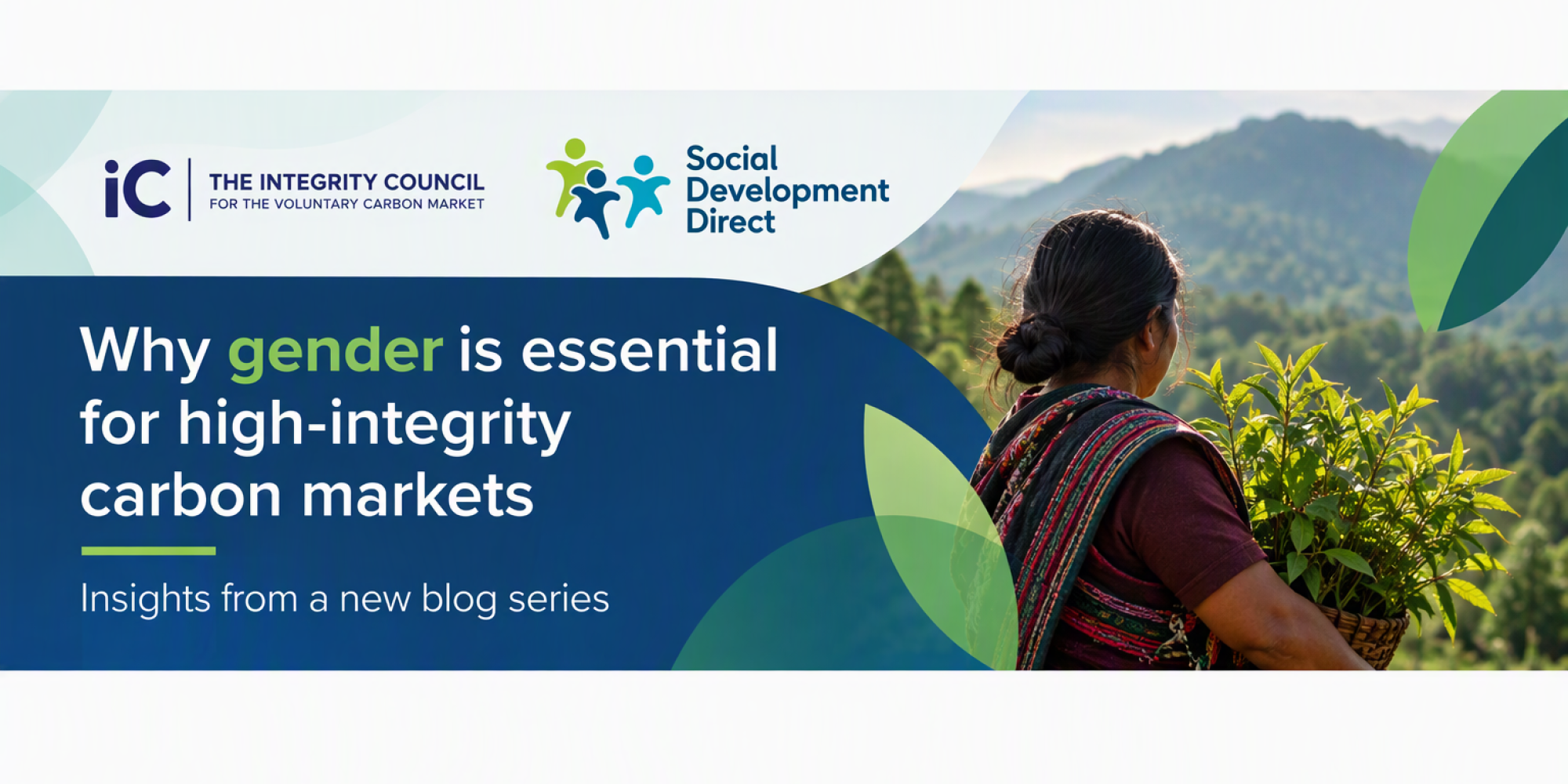 Social media tile - The Integrity Council and Social Development Direct have published the first blog in a new series