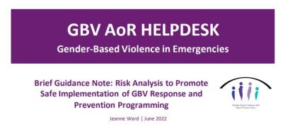 Risk Analysis to Promote Safe Implementation of GBV Response and Prevention Programming
